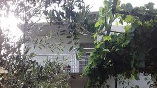 Апартаменты City apartment Novakovic Бар Апартаменты-1